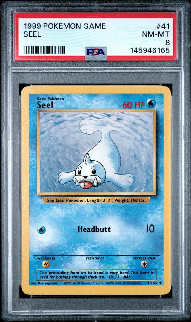 Seel