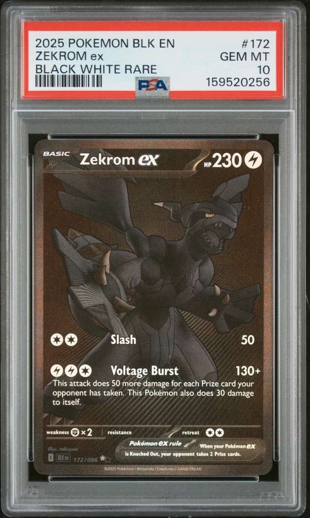 ZEKROM ex