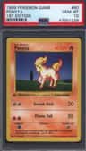 Ponyta