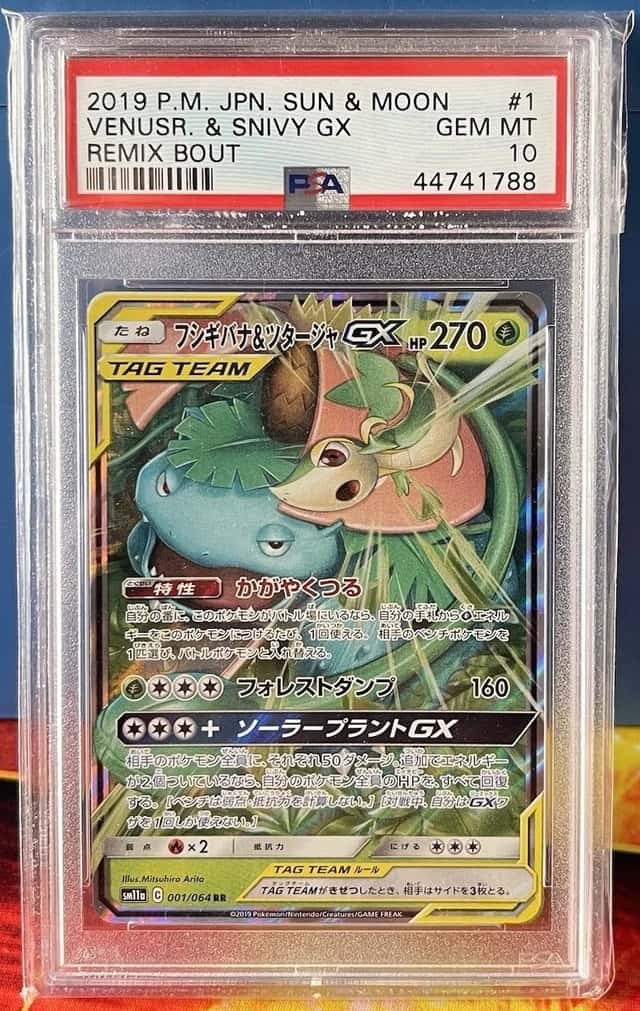 Venusaur & Snivy GX