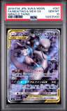 Mewtwo & Mew Gx