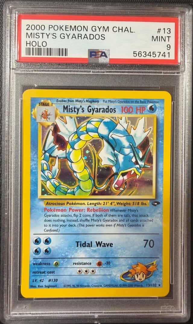 Misty's Gyarados