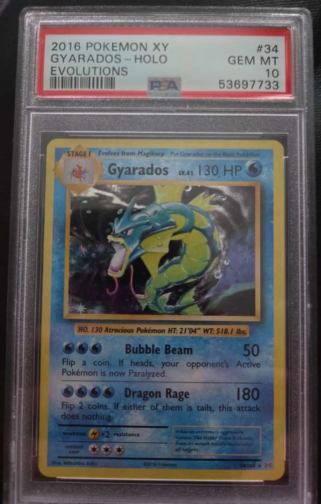 Gyarados