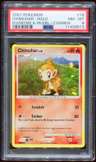 Chimchar Lv.8