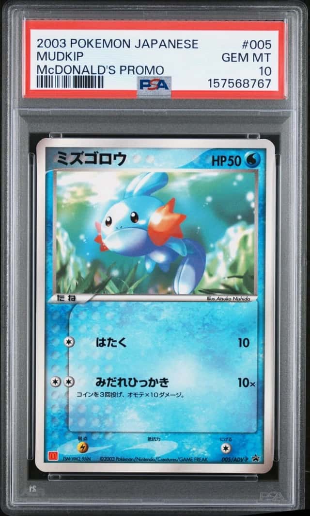 Mudkip