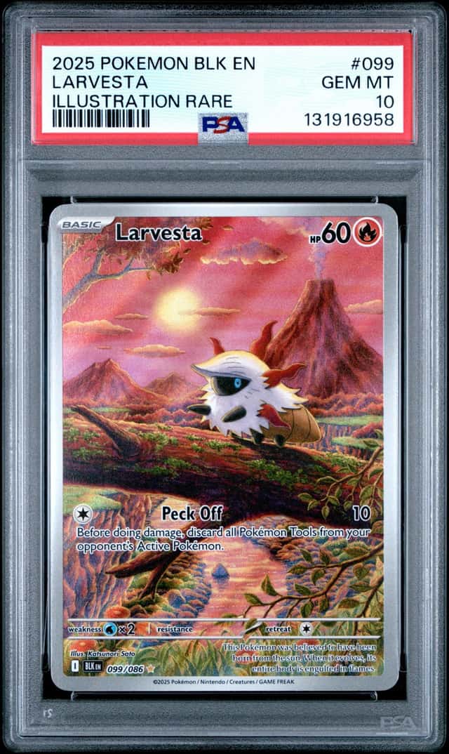 Larvesta