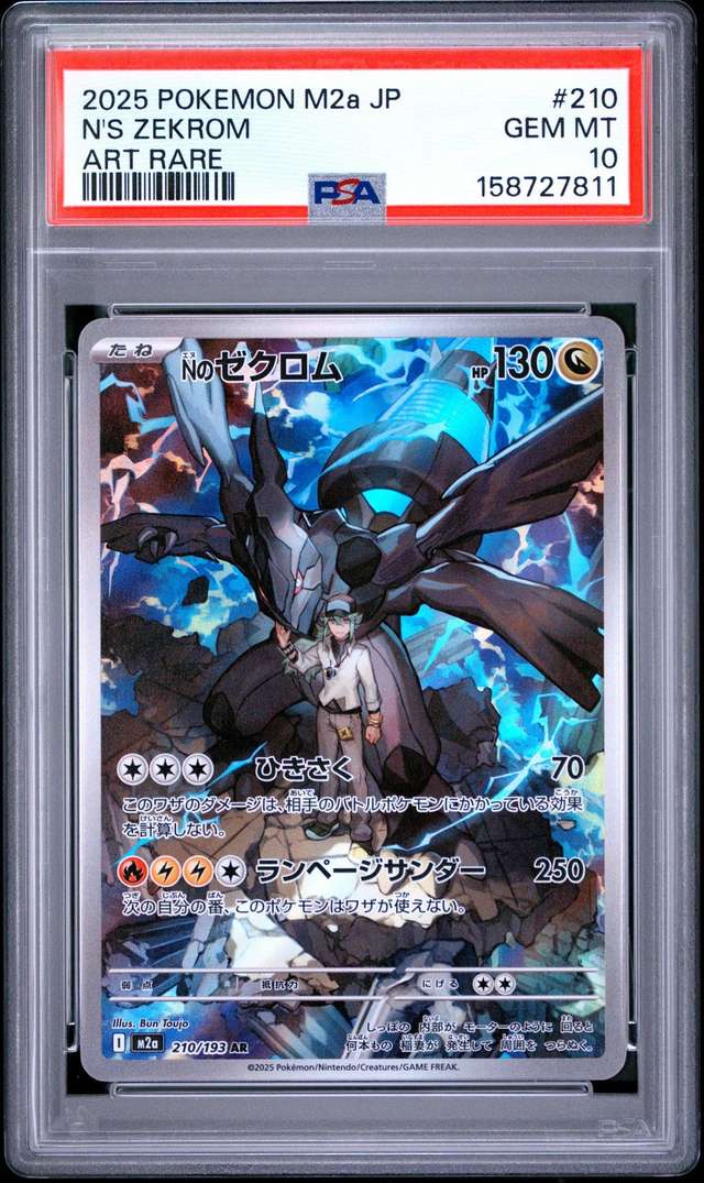 N's Zekrom