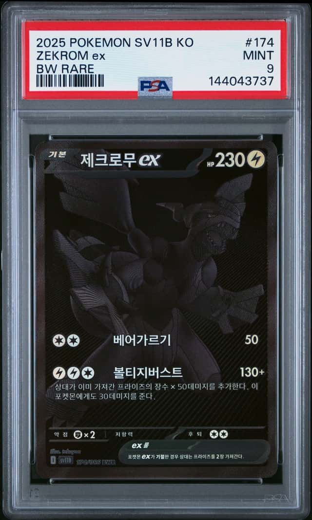 ZEKROM ex
