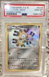 Magneton