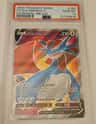Salamence V