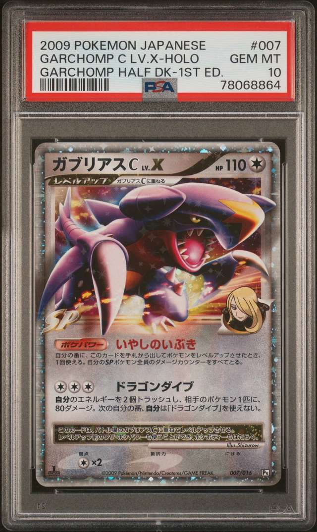 GARCHOMP C LV.X