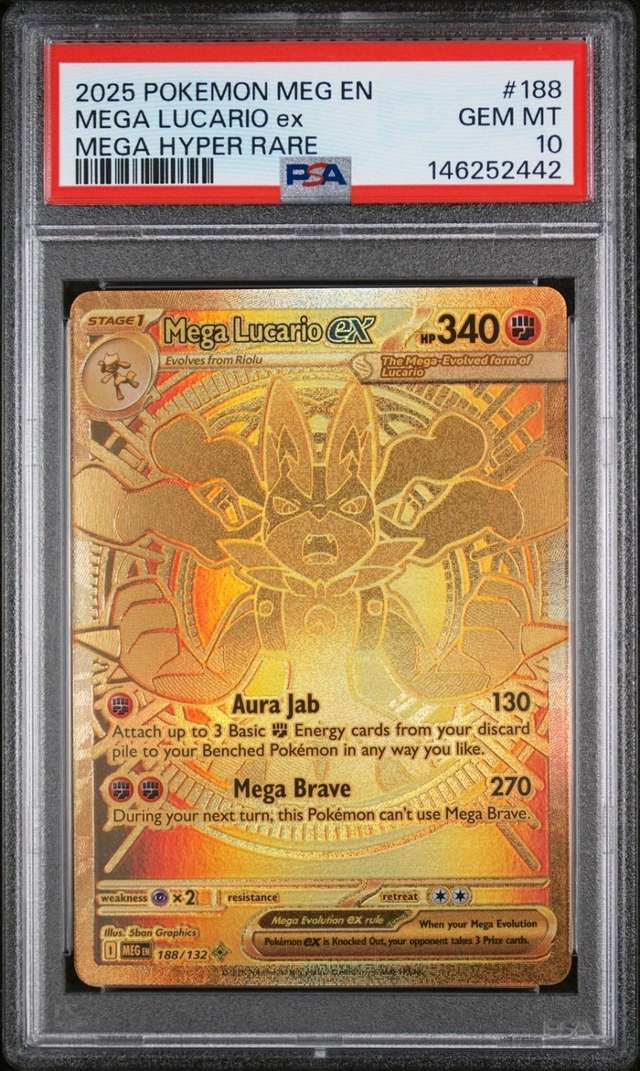 MEGA LUCARIO ex