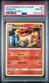 Rapidash