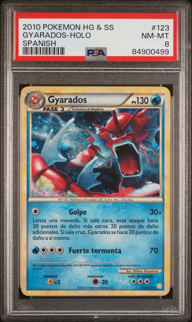 GYARADOS