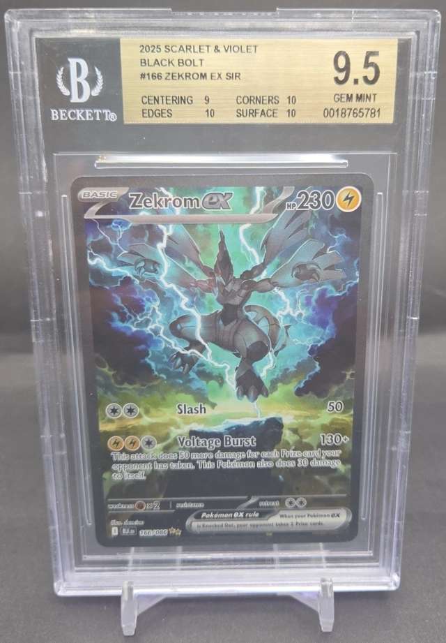 ZEKROM ex
