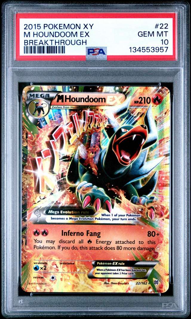 M Houndoom EX