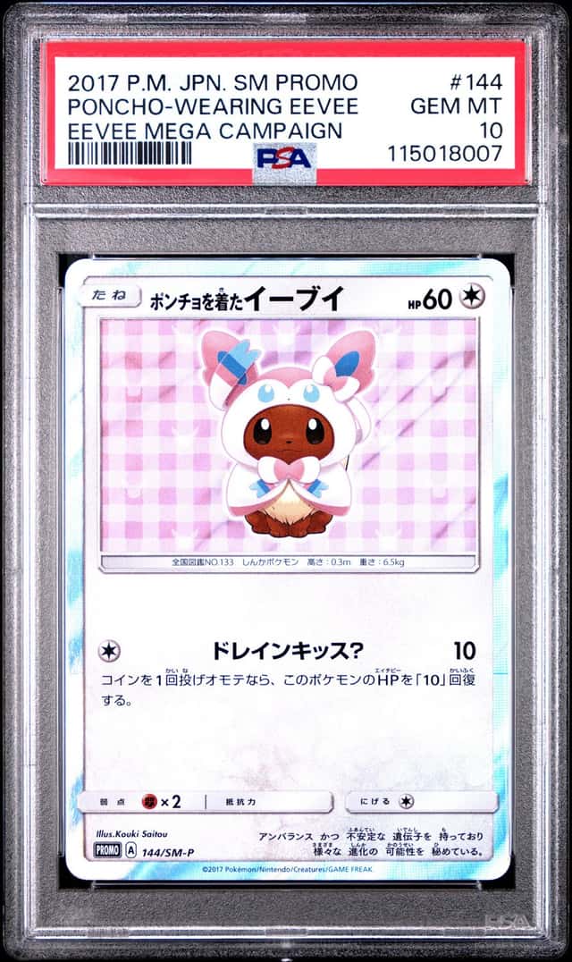 Poncho-Wearing Eevee