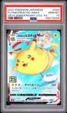 Flying Pikachu Vmax