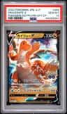 Dragonite V