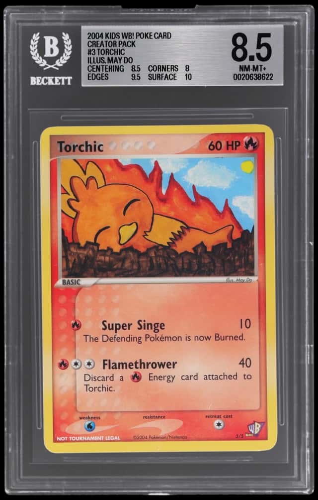 Torchic