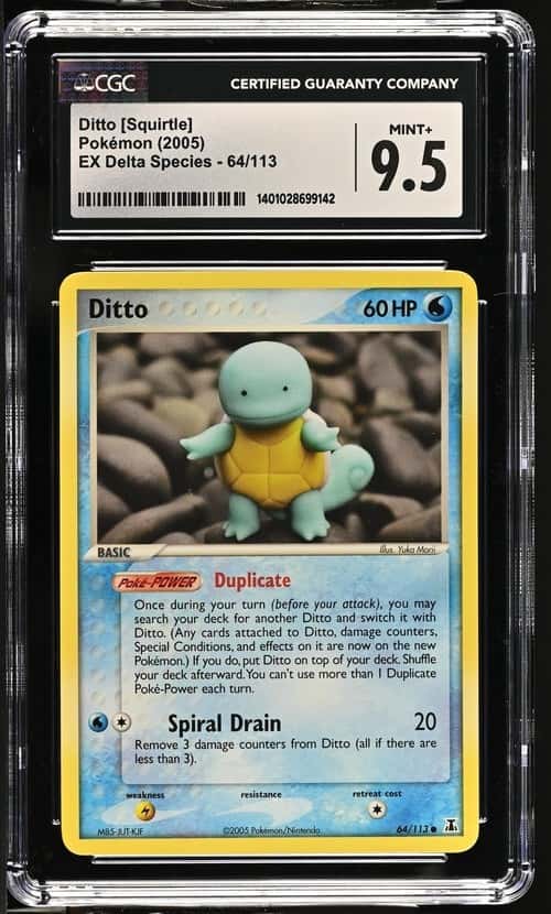 Ditto [Squirtle]