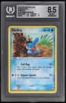 Mudkip