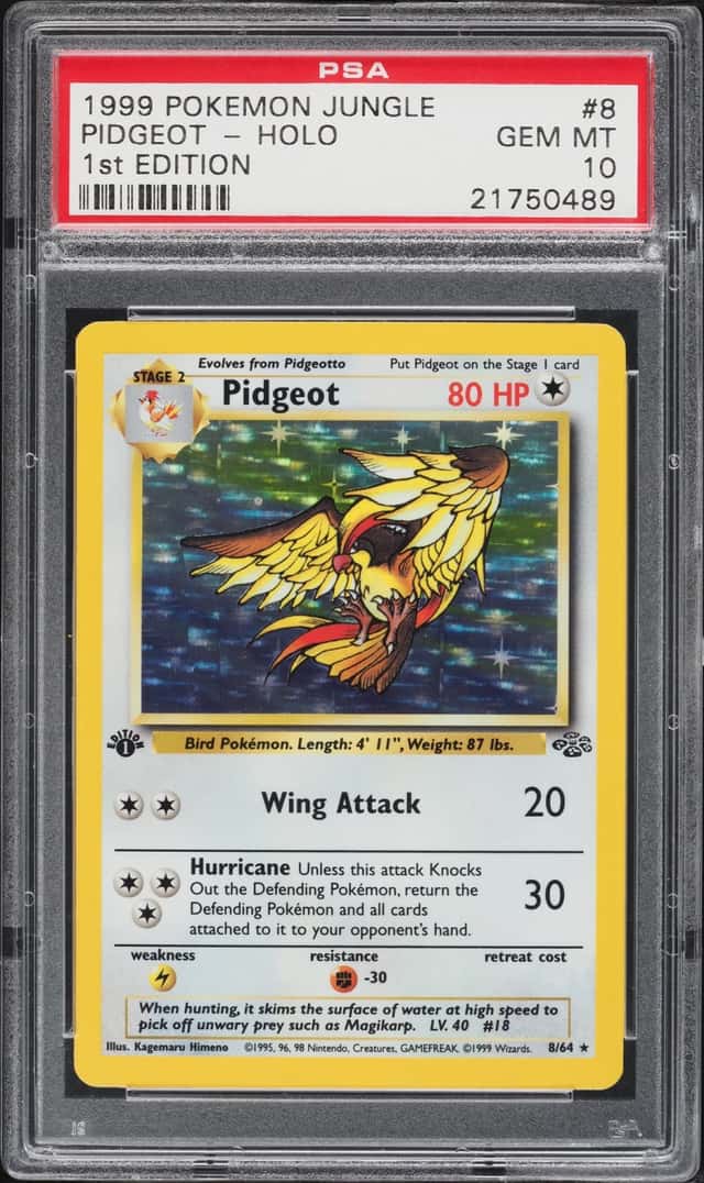 Pidgeot