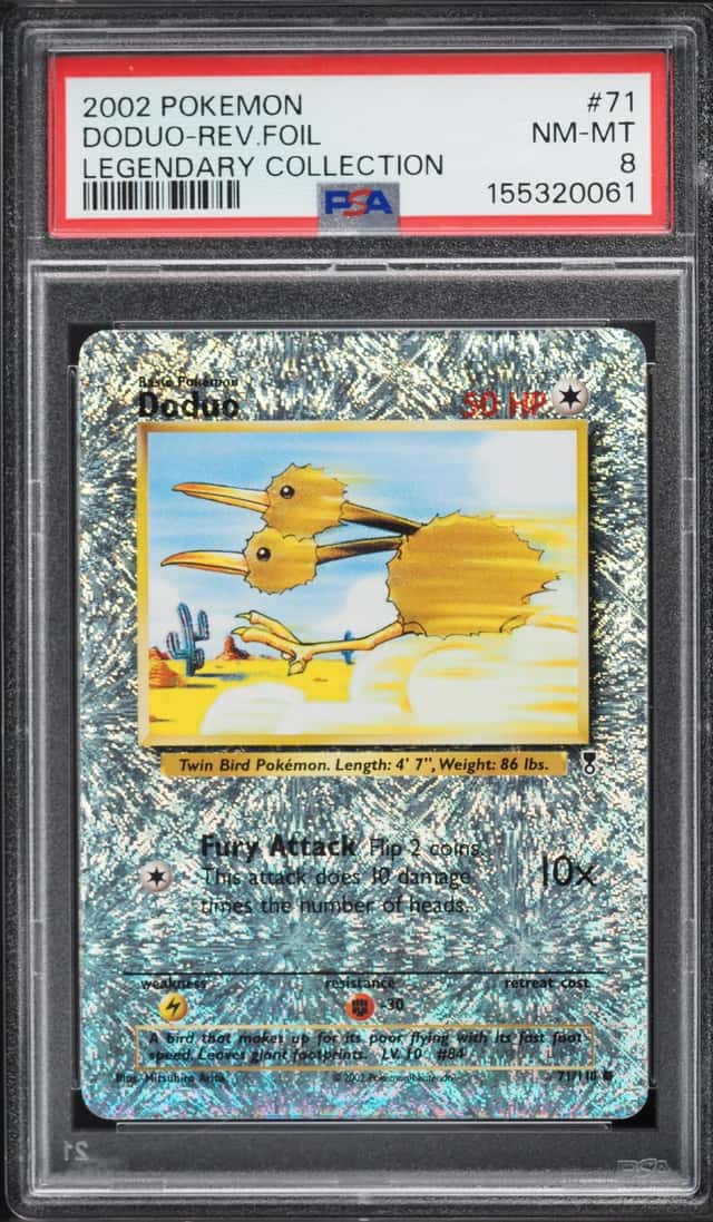 Doduo C