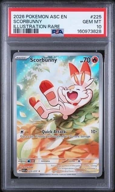 Scorbunny