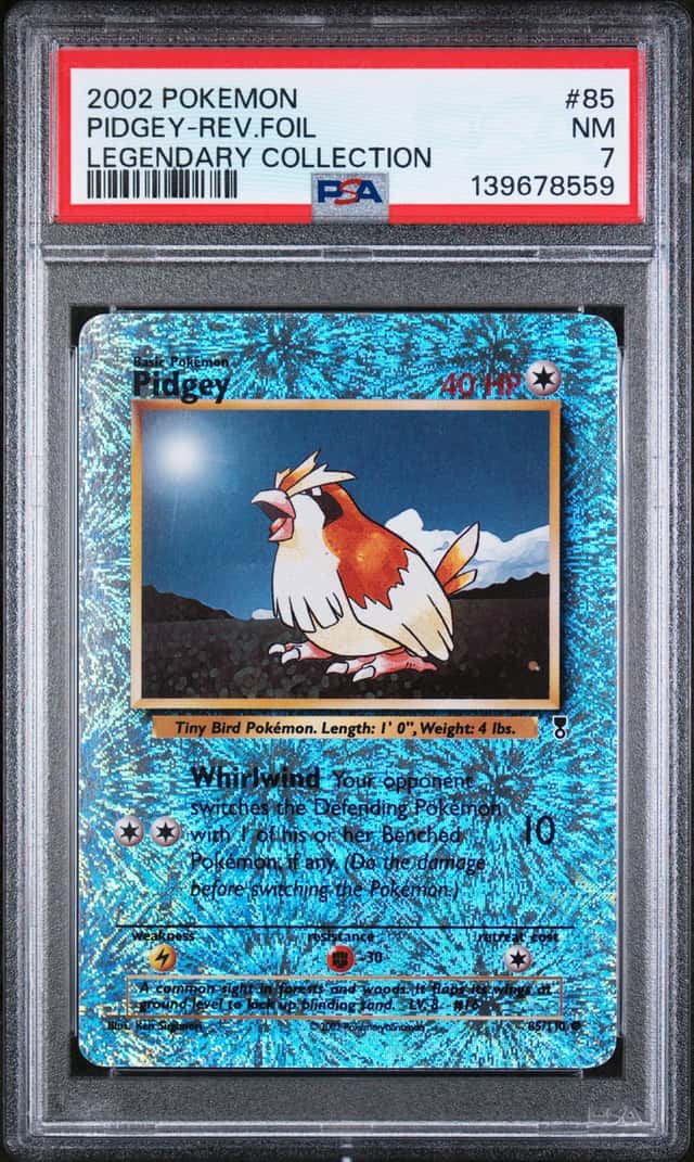 Pidgey C