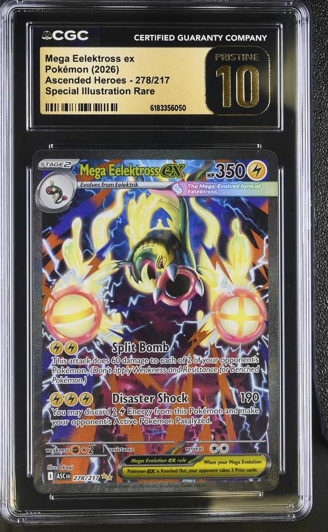 MEGA EELEKTROSS ex