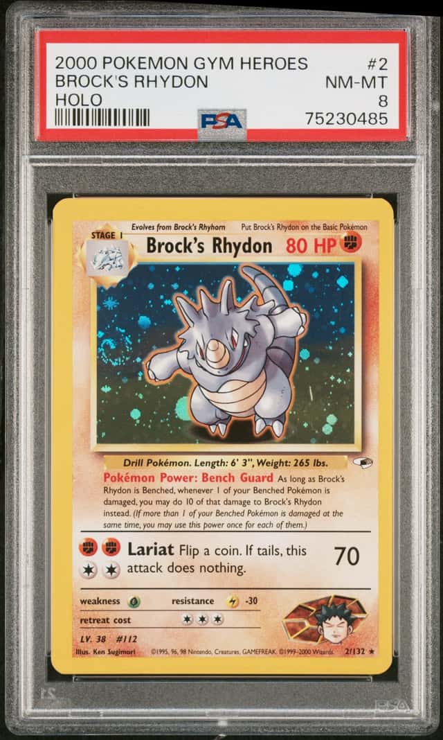 Brock's Rhydon