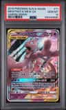 Mewtwo & Mew Gx