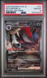 N'S Zoroark Ex