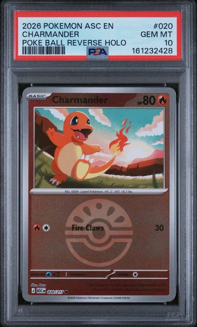 CHARMANDER