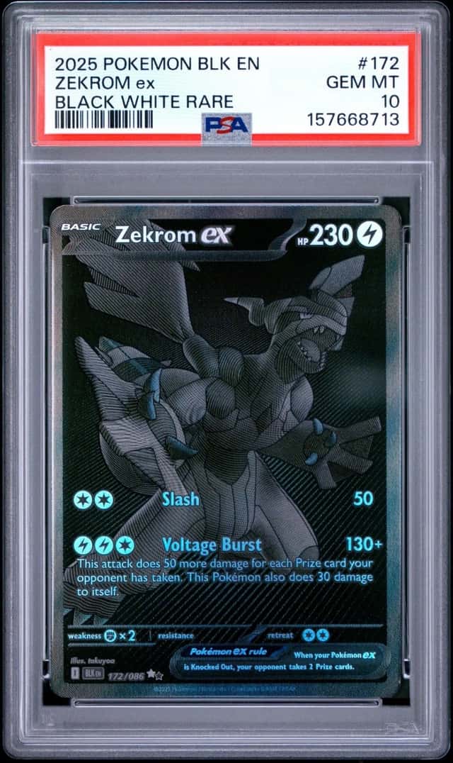 ZEKROM ex