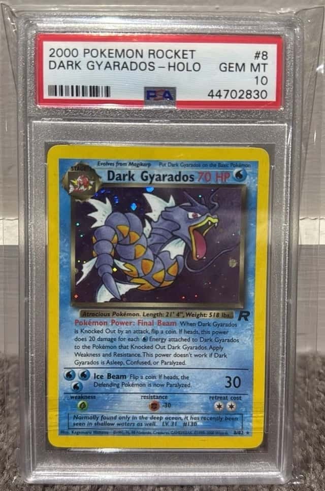 Dark Gyarados