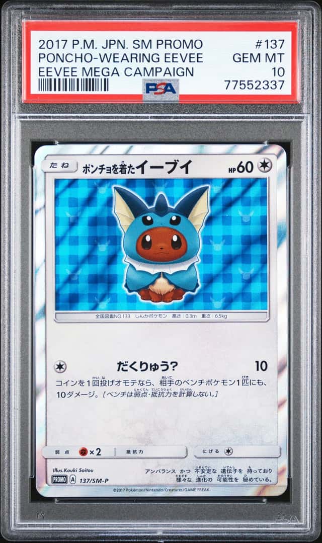 Poncho-wearing Eevee
