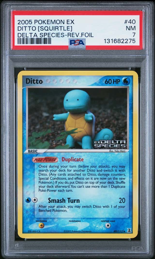 Ditto [Squirtle]