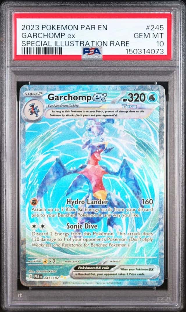 GARCHOMP ex