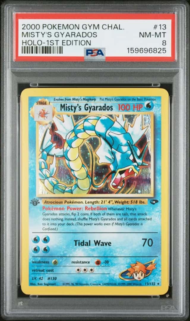Misty's Gyarados