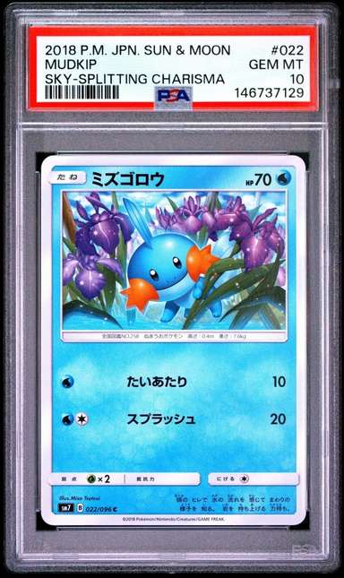 Mudkip