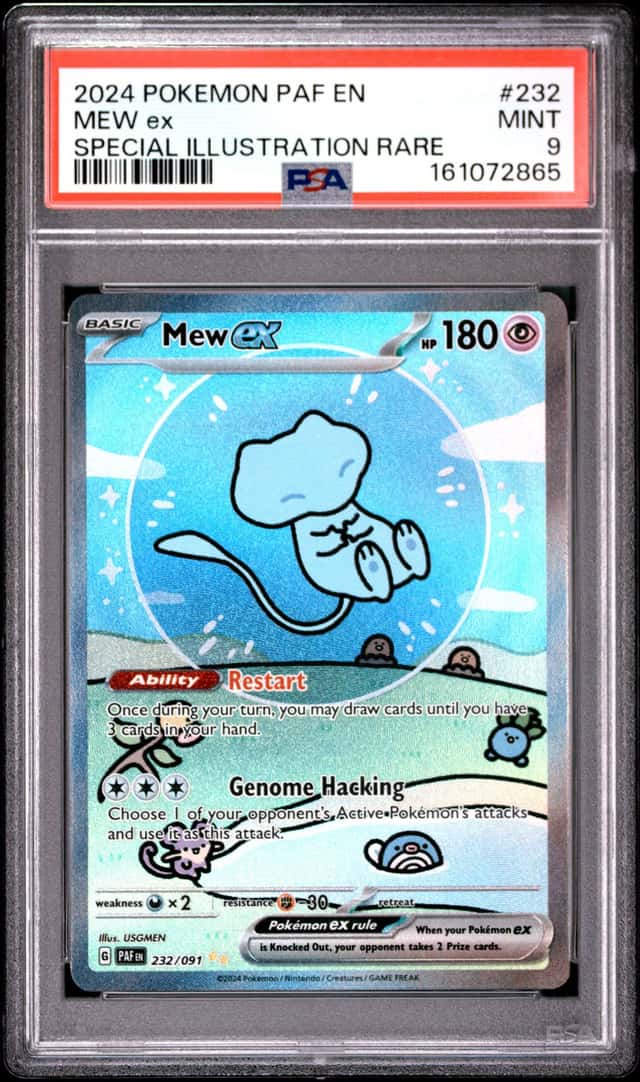 MEW ex