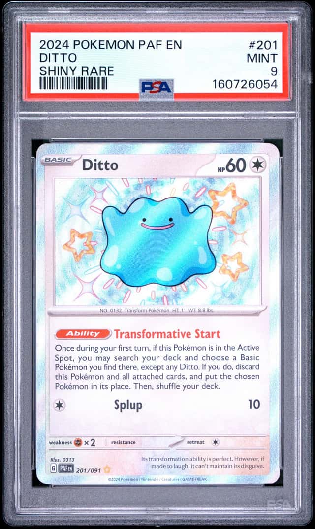 Ditto