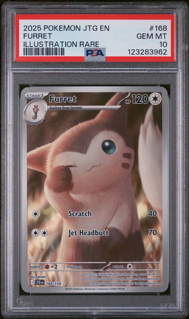 Furret