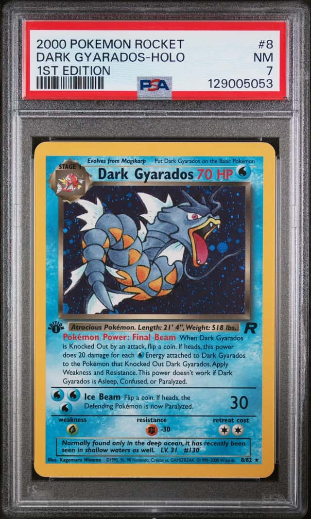 Dark Gyarados