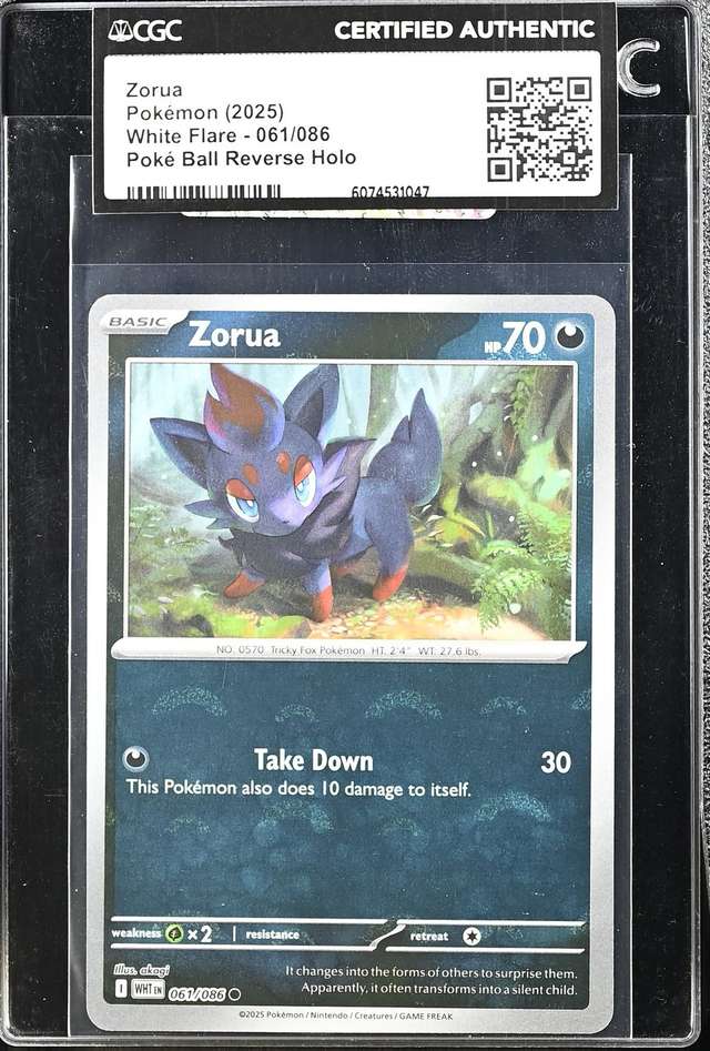 Zorua