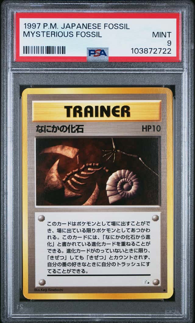 Mysterious Fossil
