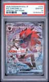 N'S Zoroark Ex