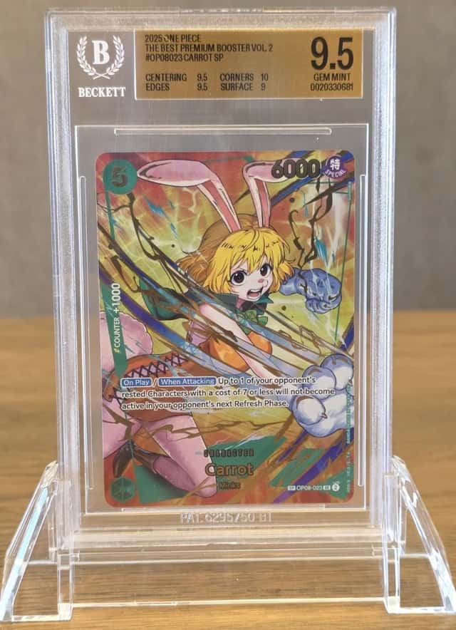 Carrot SP